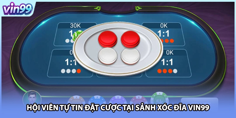 Hội viên tự tin đặt cược tại sảnh Xóc đĩa VIN99